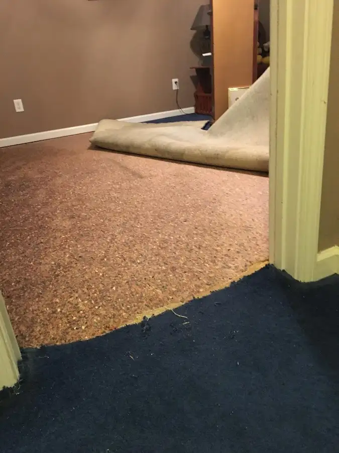 Carpet pad removal revealing water damage during Drying & Dehumidification in Paramount